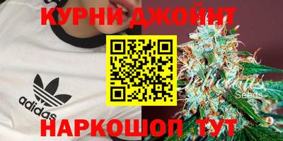 мяу мяу мука Новозыбков