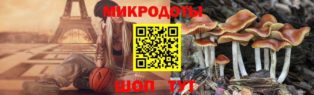 Орёл  где продают   Вход с VPN  Галлюциногенные грибы Psilocybe 